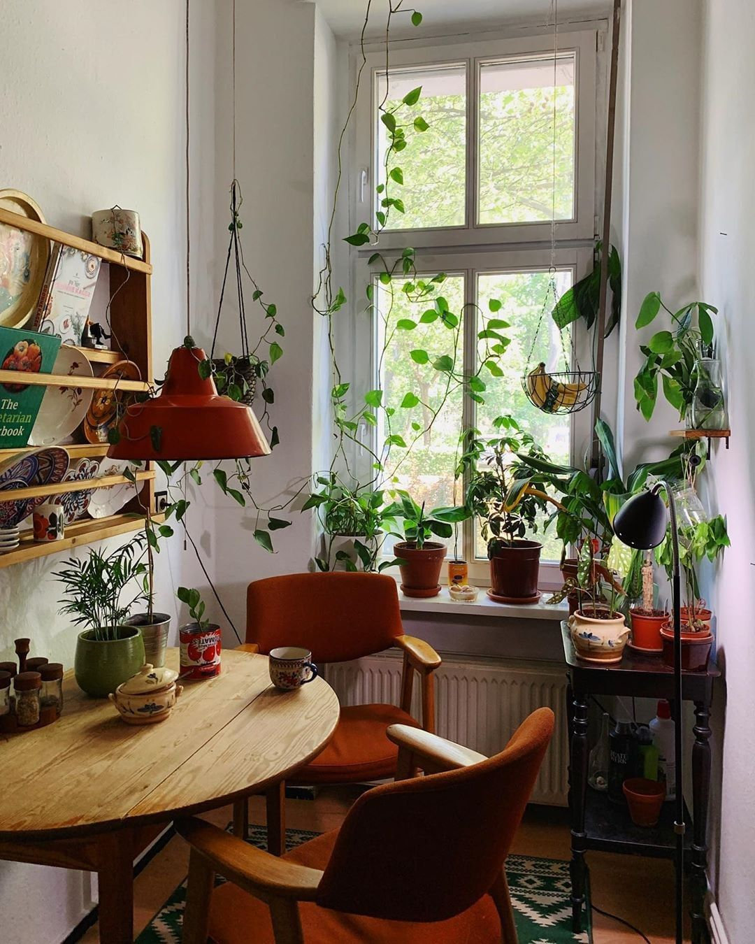 To give you some indoor plants decor inspiration, we have found 60 indoor plants decor and plant shelves ideas. You can decorate your bedroom, kids room, living room, kitchen, and dining room with indoor plants.