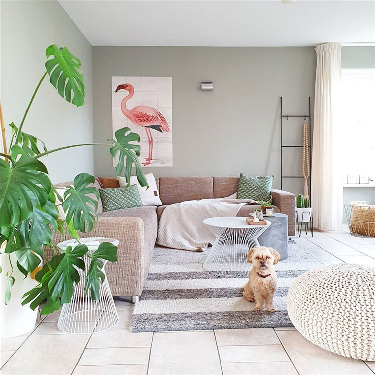 Cozy small living room decor ideas, include modern, rustic, and traditional and more. If you want to decor living, you can browse our website from time to time. #livingroomdecor #livingroomideas #livingroomdesigns